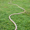 6 Points 20m Water Pipe Hose Household Garden Water Pipe Explosion-proof Antifreeze Car Washing And Flower Watering 6 Branch Pipes