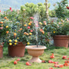 Solar Fountain Micro Fountain Dc Brushless Water Pump Solar Sprinkler Outdoor Solar Water Pump