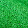Simulation Lawn Encryption False Artificial Turf Green Enclosure Outdoor Indoor Playground Decorative Grass (green 100 Square 1 Roll)19 Needle Gum Style
