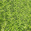 2.0cm Engineering Enclosure Lawn Artificial Turf Carpet Plastic Simulation Plant Background Wall Outdoor Green Fence Spring Grass