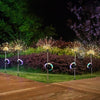 Solar Lamp Outdoor Courtyard Lamp Garden Villa Decorative Lamp Waterproof Dandelion Lamp Ground Fireworks Lamp Lawn Lamp Star Color Lamp