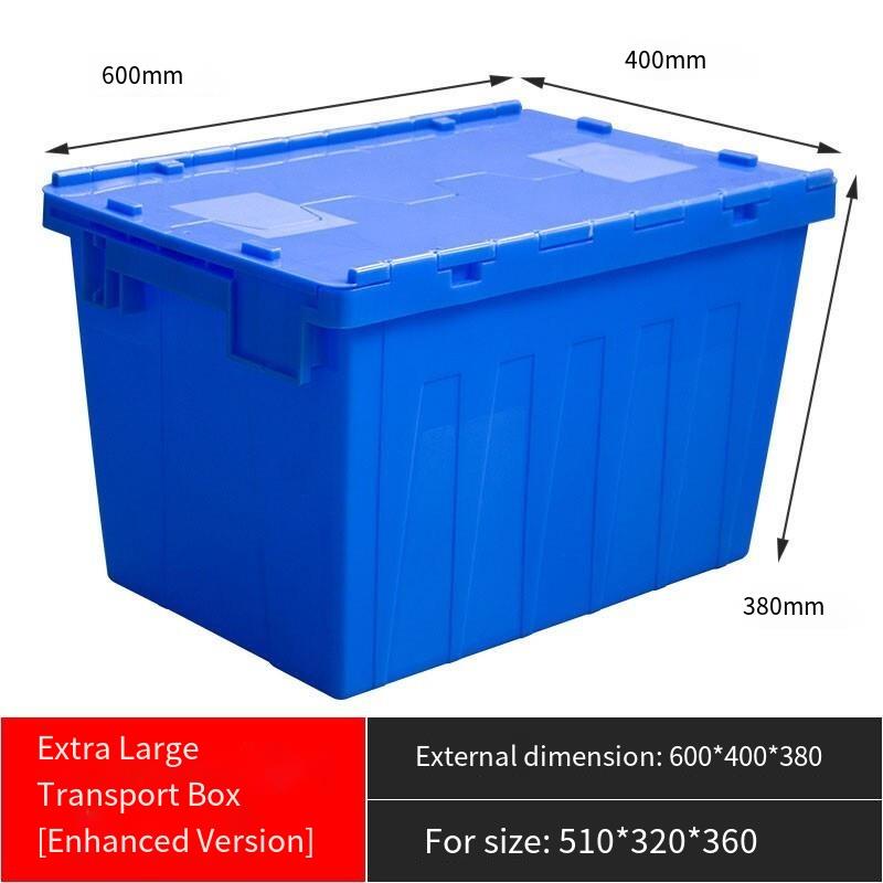 Plastic trainer storage boxes online