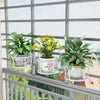 10 Pcs Flower Rack Balcony Hanging Flower Rack Iron Railing Flower Rack Window Sill Guardrail Green Pineapple Hanging Orchid Basin Rack Hanging Rack Bold + Leaf Money [white]