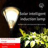 Solar Lamp Outdoor Lighting Courtyard Lamp Outdoor Waterproof LED Street Lamp Garden Villa Community Road Super Bright High Pole 3m Outdoor Street Lamp Type