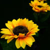 2PCS LED Solar Light Sunflower Lamp Waterproof Outdoor Courtyard Garden Lawn Pathway Decoration