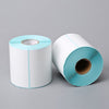 5 Rolls Direct Thermal Labels Self-Adhesive Stickers Address Shipping Mailing Postage Blank (100mm x 100mm)