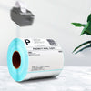 5 Rolls Direct Thermal Labels Self-Adhesive Stickers Address Shipping Mailing Postage Blank (100mm x 100mm)