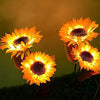 2 Packs Solar Sunflower Lights for Patio Lawn Garden Yard Pathway Decoration