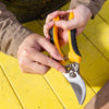 Deli 30 Pieces Pruning Shears 8