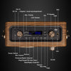 LuguLake Handheld Bluetooth Speaker Multi-Function PA System With Power Bass, FM Radio, Mic Input